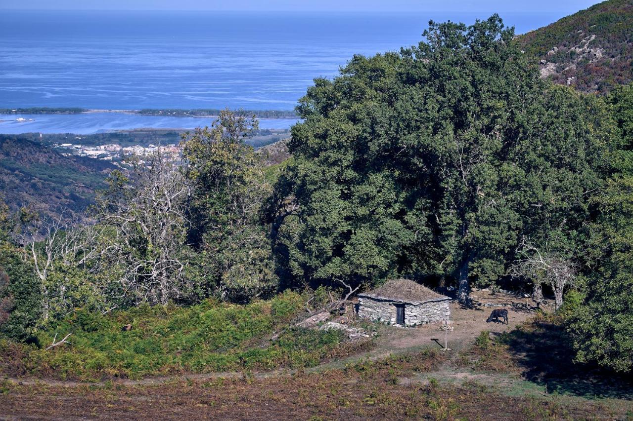 A Villa Di Rutali Εξωτερικό φωτογραφία